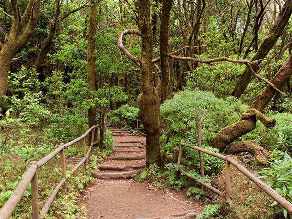 Canary Islands walking holiday