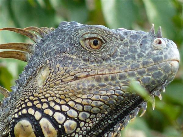 Belize holiday, discover Belize