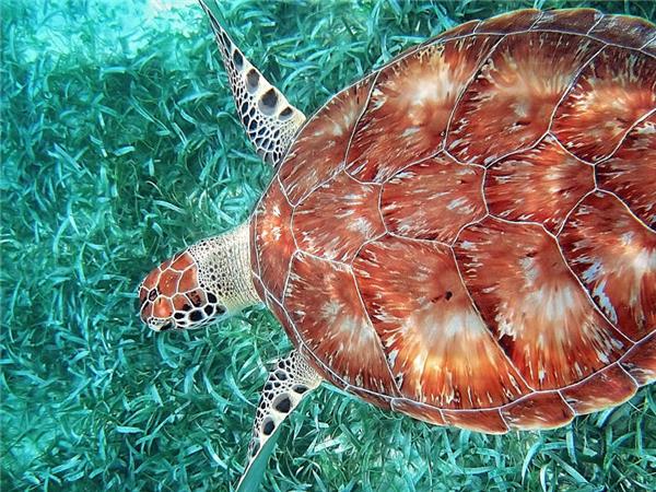 Belize holiday, discover Belize