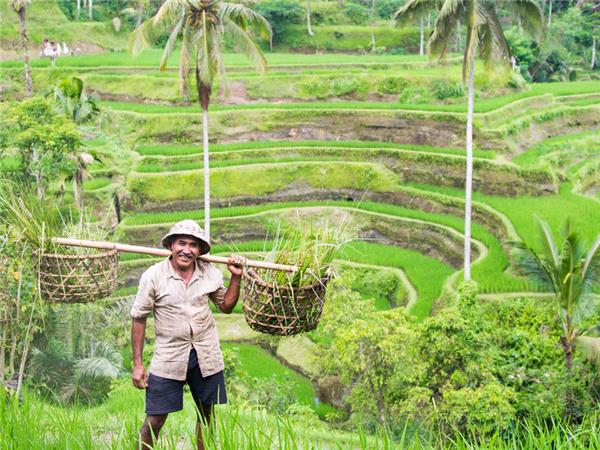 Bali and Java holiday in Indonesia
