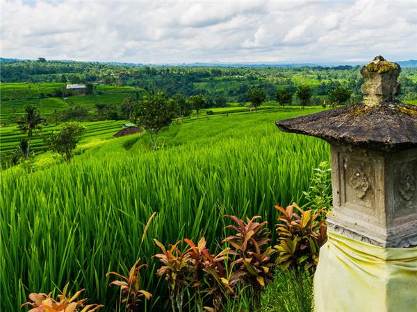 Bali and Java holiday in Indonesia