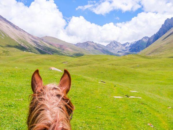 Silk Road cultural holiday, Kyrgyzstan & Uzbekistan