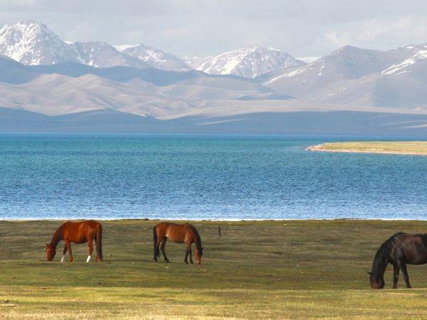Silk Road cultural holiday, Kyrgyzstan & Uzbekistan