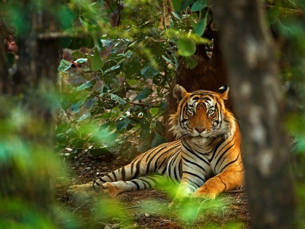 India adventure holiday, north to south