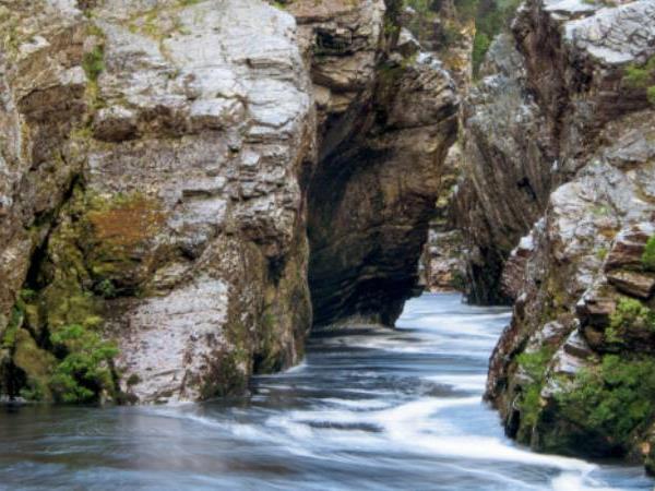 Franklin River rafting holiday in Tasmania