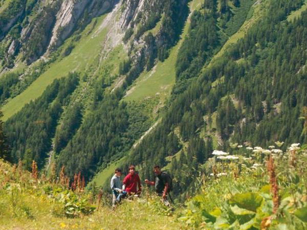 Mont Blanc walking holiday