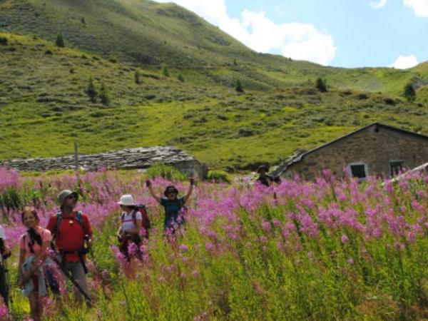 Mont Blanc walking holiday