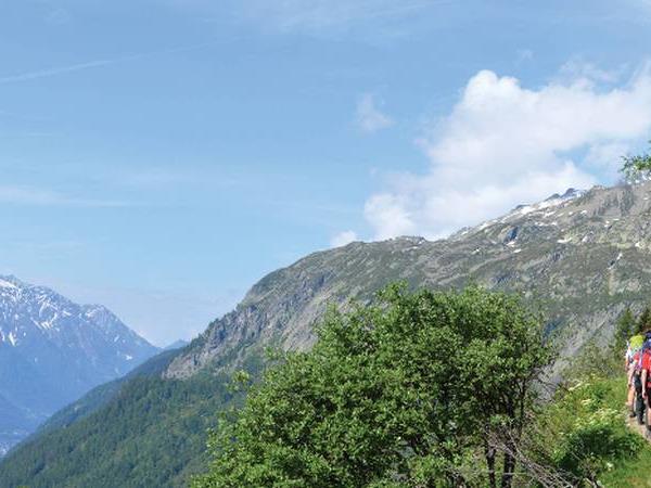Mont Blanc walking holiday