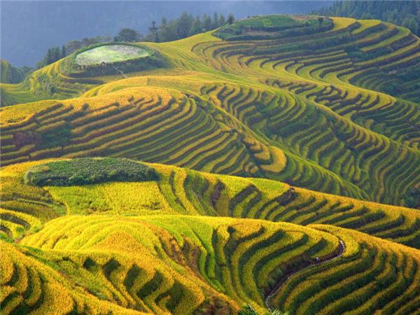 China on a shoestring small group holiday