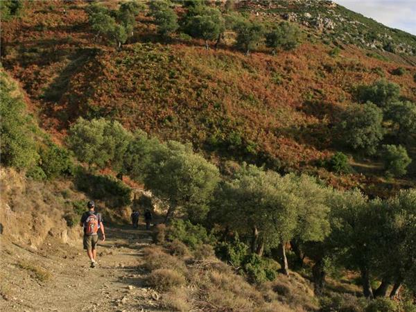 Walking Albania's coastal trails small group holiday