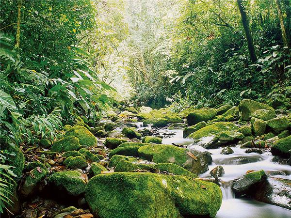 Costa Rica family holidays