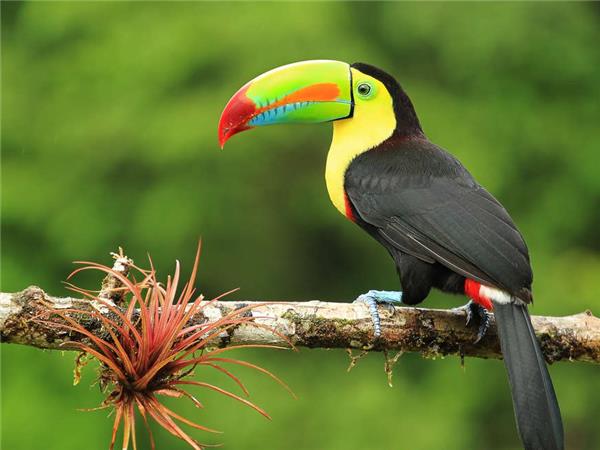 Costa Rica family holidays