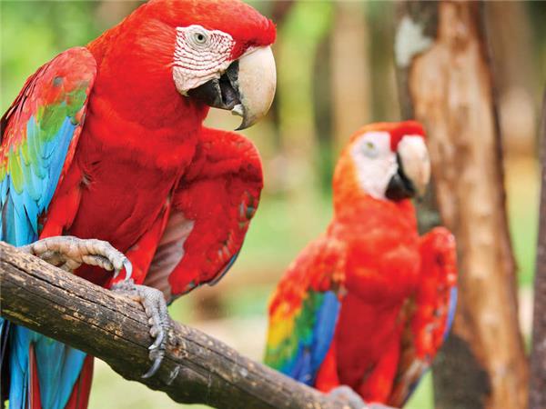 Costa Rica family holidays