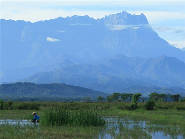Borneo and Malaysia holiday, trekking orangutans and rainforest
