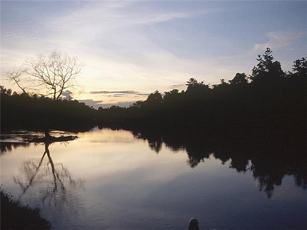 Borneo and Malaysia holiday, trekking orangutans and rainforest