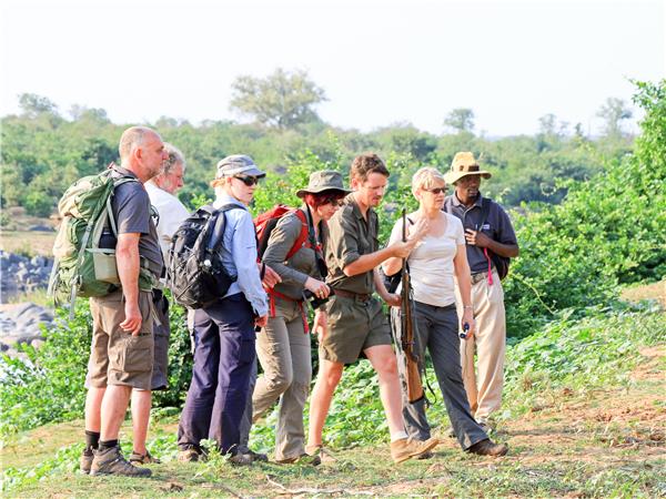 Walking safari in South Africa