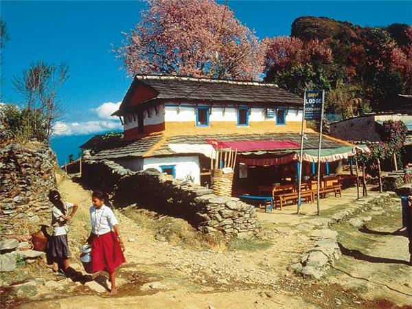 Annapurna Sanctuary trekking holidays