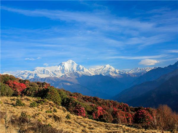 Annapurna Sanctuary trekking holidays