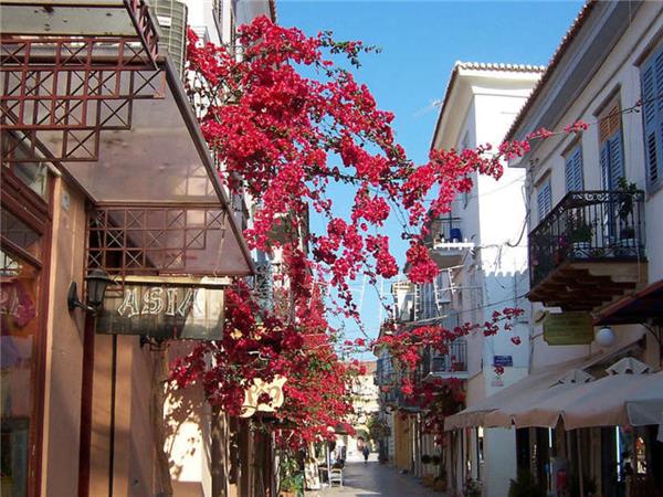 Peloponnese holiday, cultural tour in Greece
