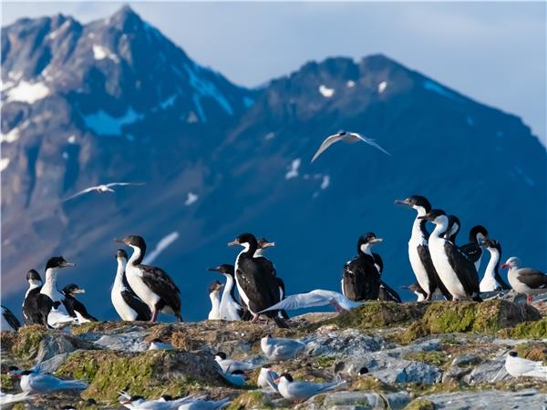 Patagonia highlights holiday