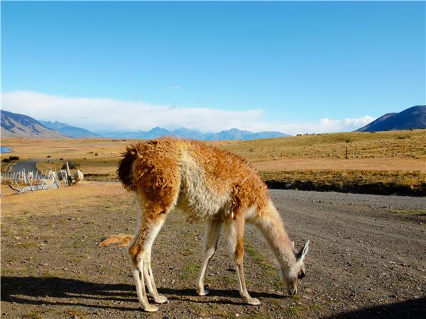Patagonia highlights holiday