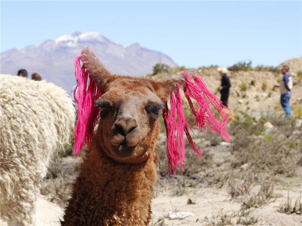 Family holiday in Peru