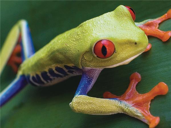 Costa Rica tour