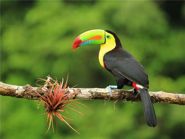 Central America holiday on a budget
