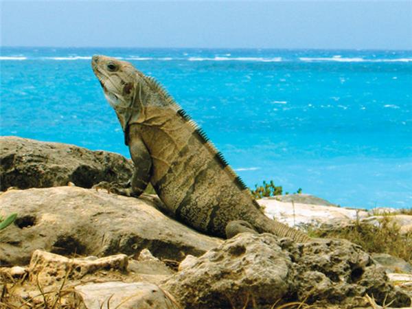 Mexico & Guatemala overland tours
