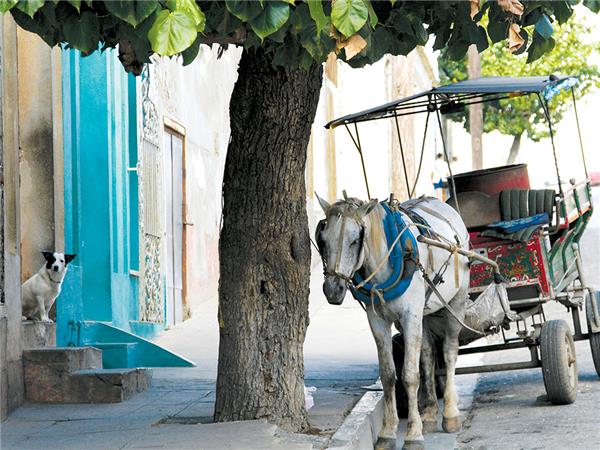 Cuba holiday, small group