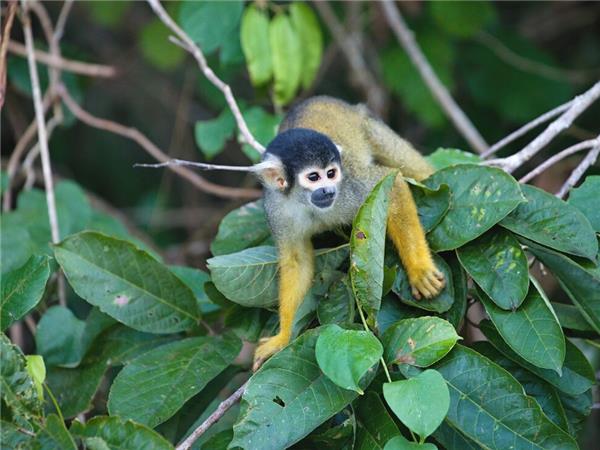 Peru adventure holiday, Sacred Land of the Incas