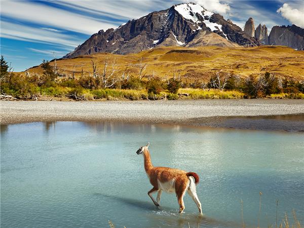 Patagonian holiday