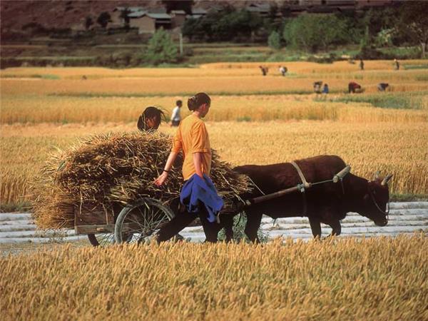 Cycling holiday to Indochina and Angkor Wat