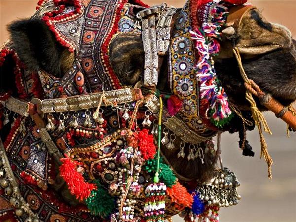Rajasthan tour, India