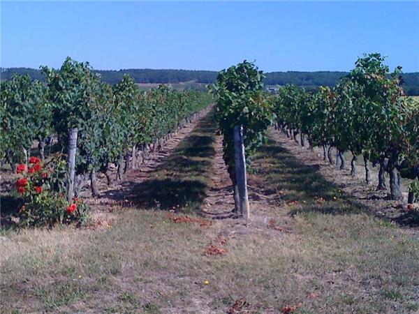 Loire Valley cycling holiday in France