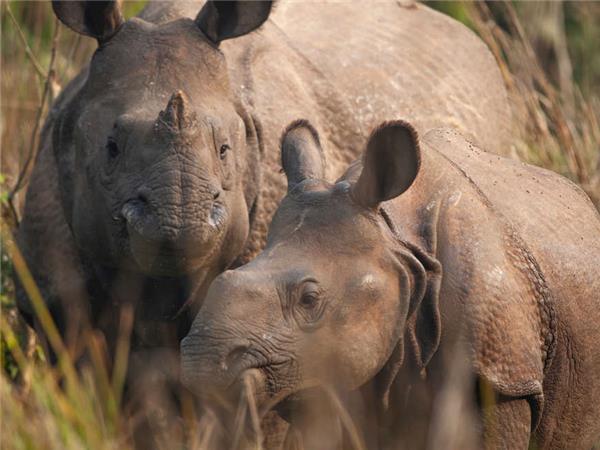 Nepal small group holiday