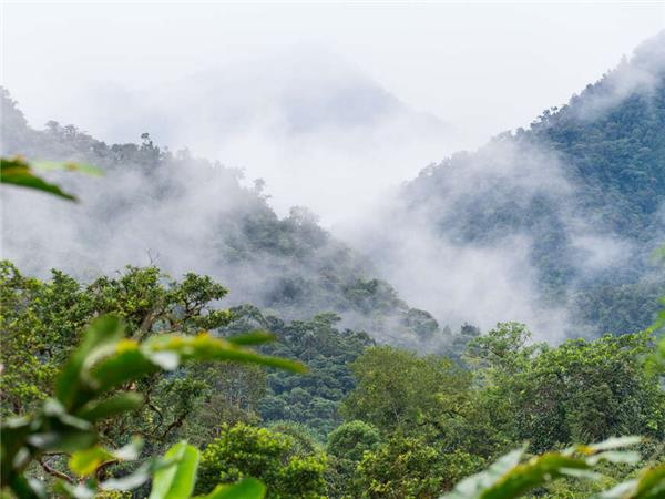 Ecuador and Galapagos small group holiday