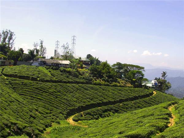 Tamil Nadu to Kerala cycling holiday, India