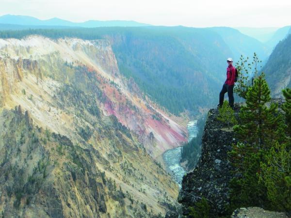 Yellowstone and Grand Teton wildlife holiday