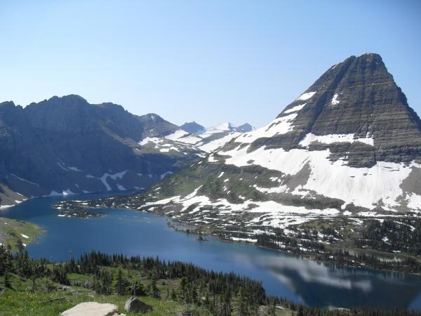 Yellowstone and Grand Teton wildlife holiday