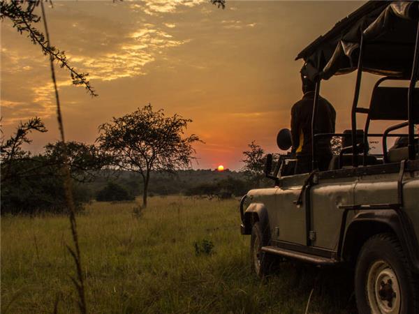 Uganda and Rwanda Gorilla holiday