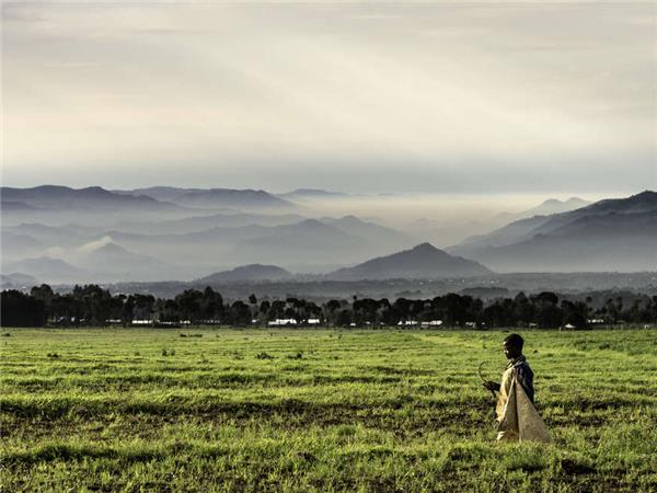 Uganda and Rwanda Gorilla holiday