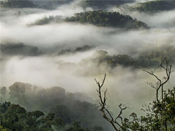 Uganda and Rwanda Gorilla holiday