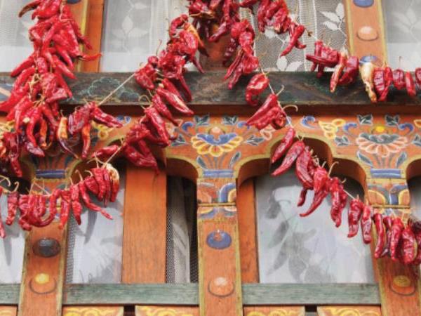 Cultural holiday to Bhutan