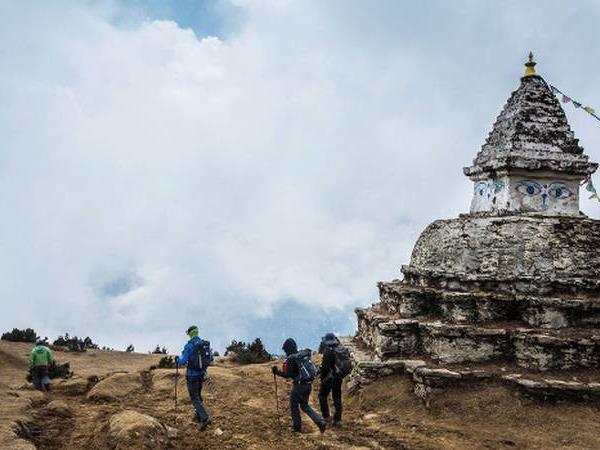 Trek to Everest base camp