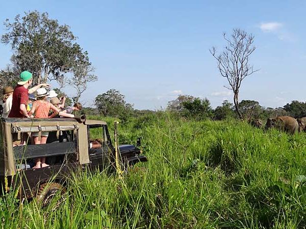 Family holiday to Sri Lanka