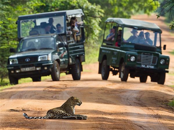 Family holiday to Sri Lanka