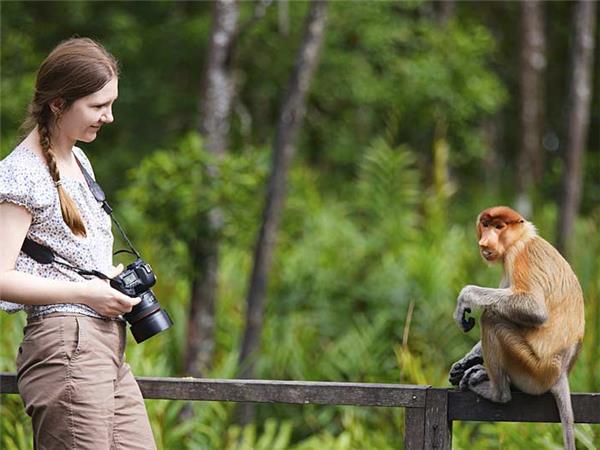 Family holiday to Borneo