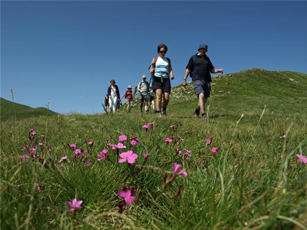 Walking holiday in Tuscany