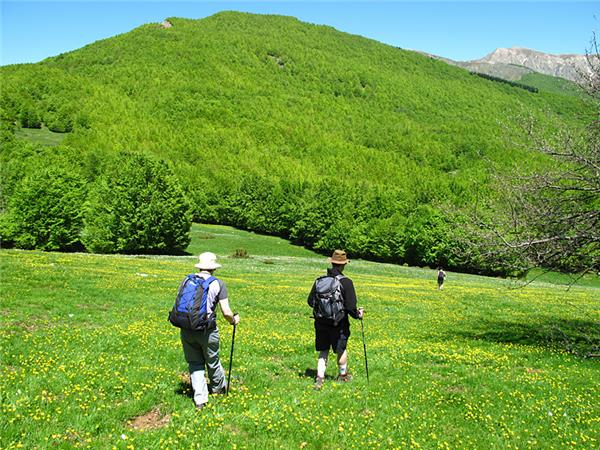 Walking holiday in Tuscany